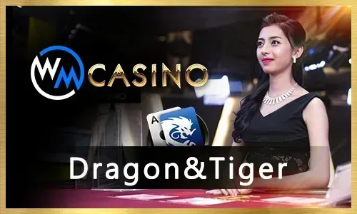 Exciting Sports Betting Action